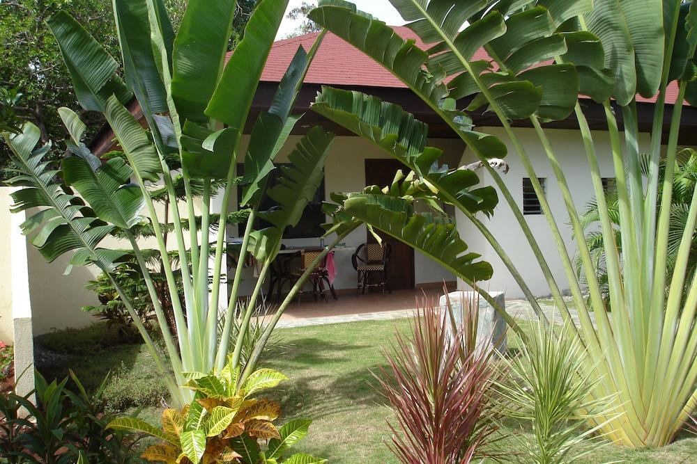 Alona Swiss Resort Panglao Bagian luar foto