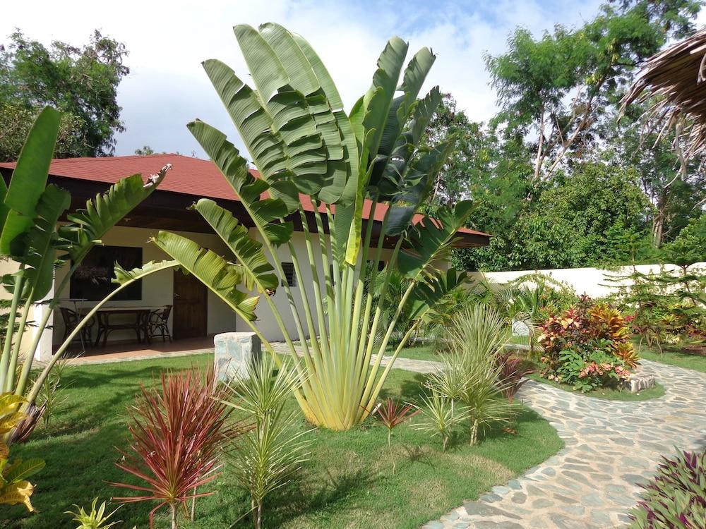 Alona Swiss Resort Panglao Bagian luar foto